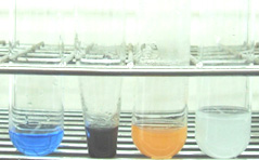 Qualitative analysis of group II cations