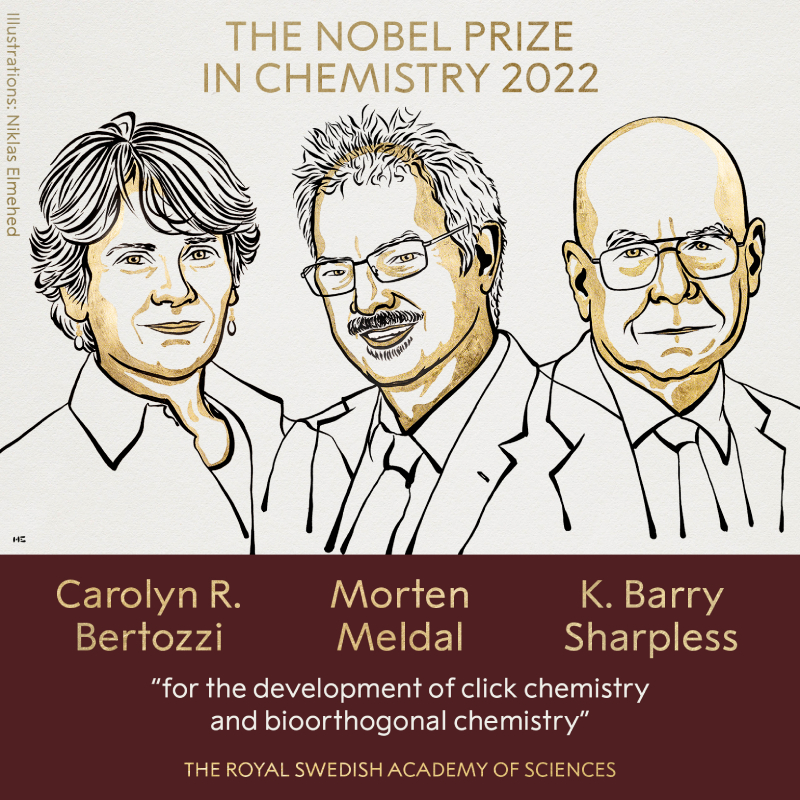 The Nobel Prize in Chemistry 2022