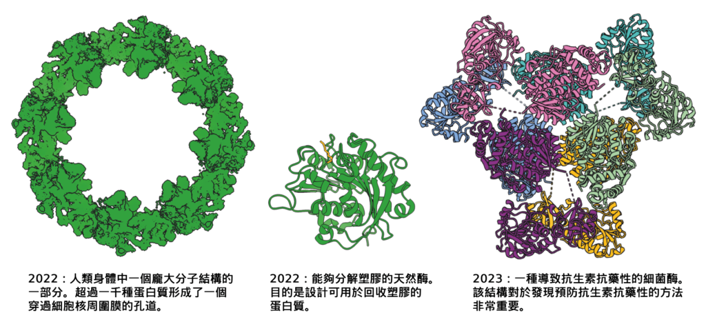 使用 AlphaFold2 決定的蛋白質結構。